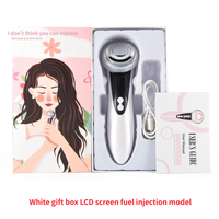 Appareil de rajeunissement facial pour usage domestique, nouvelle technologie, équipement de beauté 4 en 1, outils pour la peau, technologie de beauté, masseur facial portable