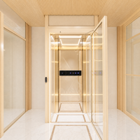 Ascenseur intérieur moderne avec éclairage LED lumineux, rail de guidage robuste et arrêt d'urgence sécurisé pour projets de résidences privées
