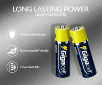 Pila Seca GigaCell 1.5V Súper Alcalina LR6 Tamaño AA en Blíster, Marcas de Pilas OEM, Juguetes Educativos