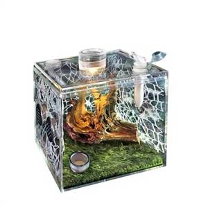 Neue Hochdurchlässige Mehlwurm-Ökobox mit Hoher Transparenz, Rechteckig, für Heuschrecken, Spinnennägler und Marienkäfer - Product Image 1