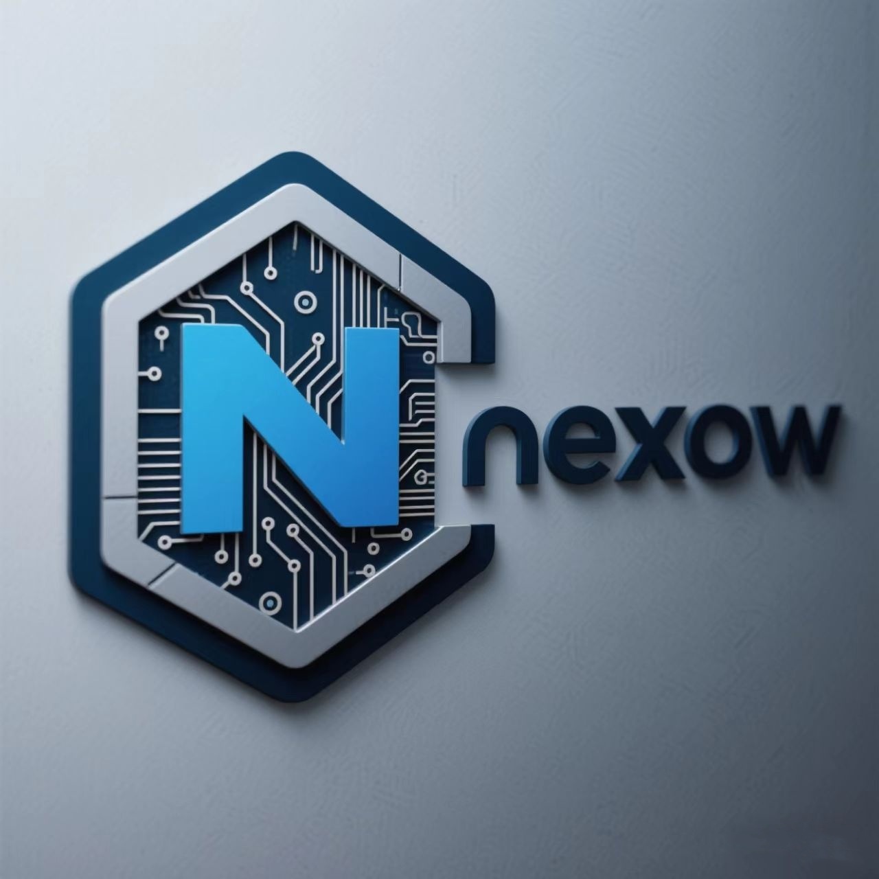 Shenzhen Naisuo Technology Co., Ltd.