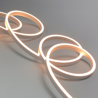 Lampu Strip LED CCT Tunable White 2700K-6500K DC24V IP68 Tahan Air untuk Luar Ruangan, Lampu Neon Flex Arsitektural, Pemasok Kustom