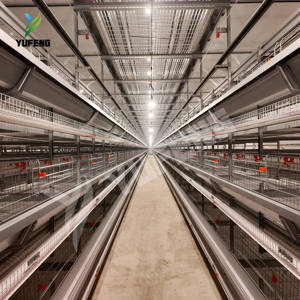 <span class=keywords><strong>Cage</strong></span> à poules de type H, <span class=keywords><strong>cage</strong></span> à poules pondeuses, <span class=keywords><strong>cage</strong></span> à poules pondeuses d'œufs, <span class=keywords><strong>cage</strong></span> à poules OEM acceptée, grande capacité, automatique, 4 niveaux pour 10 000 oiseaux - Product Image 6