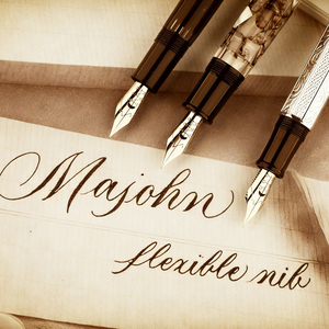 MAJOHN 6# High Quality Stainless Steel Flexible Calligraphy Fountain Pen Nibs English Roundhand ER <strong>Engrosser</strong> Script ES - Product Image 3