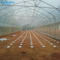 Dôme de plantation de fleurs PE Film couvrant Agriculture croissance serre à portée unique avec système de refroidissement