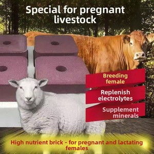 Bloques de Sal Mineral para Ganado y Ovejas, Ladrillos de Sal Suplementarios, Minerales y Oligoelementos de Grado Alimenticio Exclusivos para Mares y Vacas - Product Image 6