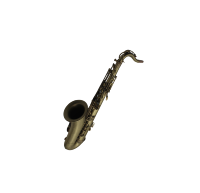 Eastern Music Brass Body Bb Tenor Saxophone Professional Wind Instrument Model TS300Q Rust Resistant for Students