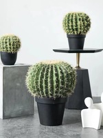 Fabricants en gros de grandes plantes vertes décoratives pour le sol, plantes en pot pour fenêtre, cactus du désert en PU