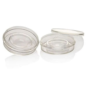 Plaque de culture cellulaire à 24 puits, traitée TC, adhésive, consommables courants, marque [Nom de la marque], n° de référence. 150260 Fournitures de laboratoire Chine CN - Product Image 4