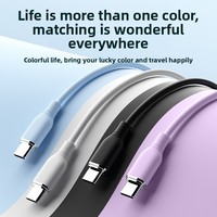 Cable de Datos USB2.0 Tipo-C de Carga Rápida Doble C60WPD para Teléfonos Móviles con Funda de Silicona