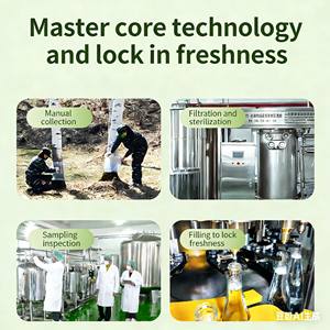 Bebida Natural <span class=keywords><strong>de</strong></span> Líquido <span class=keywords><strong>de</strong></span> <span class=keywords><strong>Abedul</strong></span> Jiufengshan Yangxingu Sin Azúcar Añadido, 6 Botellas/caja, Productos y Bebidas en Caja <span class=keywords><strong>de</strong></span> Regalo - Product Image 2