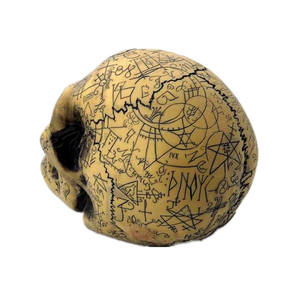 Décoration <span class=keywords><strong>Squelette</strong></span> de Capitaine Pirate Impressionnante, Rétro, <span class=keywords><strong>Halloween</strong></span>, Horreur, Inscription, Crâne en Résine, Bibelots Gravés, Art Déco - Product Image 4