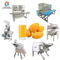 Fruit Mango Calamansi Squeezer Ananassap Extractor Machine Industriële Verse Sinaasappel Juicer Persmachine