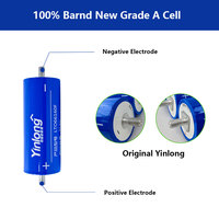 Batterie LTO Yinlong 2,3V 40Ah 66160, 25000 cycles, charge rapide, cellule au titanate de lithium pour stockage d'énergie industriel