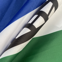 Cape de drapeau national argentin en polyester 90x150cm (3x5 pieds) personnalisée pour festivals, événements, défilés et sports