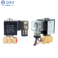 Vanne solénoïde miniature haute pression normalement fermée DKV 2W AC220V/DC24V en laiton et acier inoxydable, mini vanne solénoïde électrique