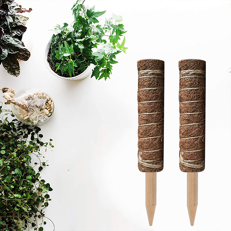 Coir Totem Растения Monstera, маленький удлинитель для сада, подвесная палочка для поддержки растений в помещении и на улице