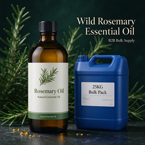 Cuidado del Cabello, Aceite Esencial de <span class=keywords><strong>Romero</strong></span>, Aceite de Jengibre, Aceite de Árbol de Té, Aceite de Ricino Negro, El Mejor Aceite de <span class=keywords><strong>Romero</strong></span> para el Crecimiento del Cabello - Product Image 1