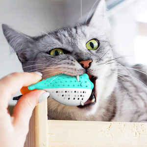 Amaz-cepillo de dientes de hierba gatera reutilizable para gatos, juguete interactivo resistente a mordeduras, con hierba gatera - Product Image 5