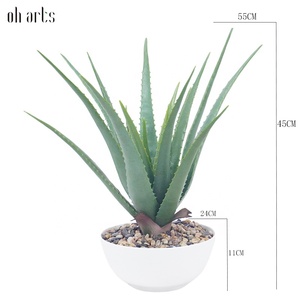 Faux mini plantas suculentas artificiales en maceta cactus falso aloe <span class=keywords><strong>vera</strong></span> Crassulaceae suculentas para jardín boda decoración del hogar Mesa - Product Image 2