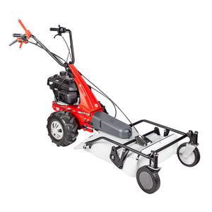 Tondeuse à gazon EUROSYSTEMS Grassland Mower Pro V2 autotractée à essence, moteur OHV 200cc, largeur de coupe 53cm - Product Image 1