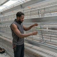 Cage à batterie de type A pour poulets de ponte, pour petite ferme avicole au Nigeria, capacité 5000 oiseaux, galvanisée à chaud, conception modulaire extensible