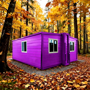 Casa Contenedor Plegable de Bajo Costo de Envío, 20 pies, 3 Dormitorios, Casa Prefabricada Expandible, Villa Modular en Paquete Plano, <span class=keywords><strong>Precio</strong></span> de Fábrica - Product Image 1