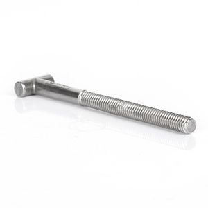 Pernos en T de Acero Inoxidable de Alta Calidad, Roscas de Alta Precisión, Esenciales para el Fijado de Rieles Industriales - Product Image 2