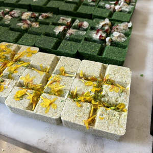 Machine à gâteau aux haricots verts d'approvisionnement d'usine Mesin Putu Kacang forme et taille personnalisables biscuits aux haricots verts et aux amandes faisant la machine - Product Image 2