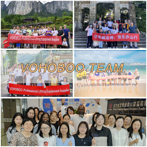 Tời hợp kim nhôm Điện tùy chỉnh cung cấp mini dây điện Dây tời Châu Âu dây điện Dây tời cần cẩu 5 tấn - Product Image 4