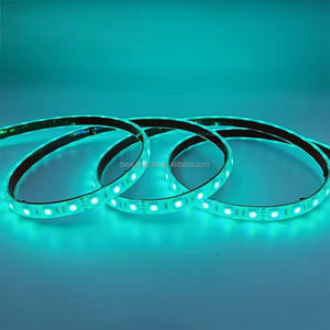 Tira de Luces LED RGB de Siete Colores al por Mayor, Tira de Luces LED Inteligente para Techo con Clasificación de Impermeabilidad LP68 - Product Image 5