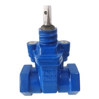 DIN femelle Npt Bspt joint souple vanne filetée DN15 DN20 DN25 DN32 DN40 DN50 PN10/PN16