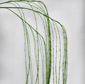 Plantas Artificiales de Bambú Estilo Mori, 200 cm, Decoración de Alta Gama para Sala de Estar, Arreglos Florales Realistas - Product Image 5