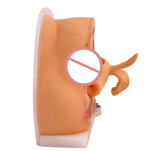 Vrouwelijke <span class=keywords><strong>Vagina</strong></span> Onderzoek Model Vrouwelijke Voortplantingssysteem Model Cervicale Onderzoek Model - Product Image 2