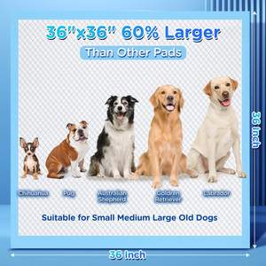 GMTPET Tapis d'entraînement <span class=keywords><strong>pour</strong></span> animaux de compagnie <span class=keywords><strong>pour</strong></span> adultes Coussin de <span class=keywords><strong>couche</strong></span> absorbant <span class=keywords><strong>pour</strong></span> chien et cage <span class=keywords><strong>pour</strong></span> chat Fourniture d'entraînement universelle <span class=keywords><strong>pour</strong></span> chiens chats <span class=keywords><strong>pour</strong></span> <span class=keywords><strong>Amazon</strong></span> - Product Image 2