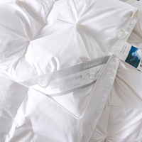 Couette de luxe certifiée OEKO-TEX 95% duvet d'oie, plissée, toutes saisons, blanche, insert de couette, literie d'hôtel, sur mesure, OEM, vente en gros