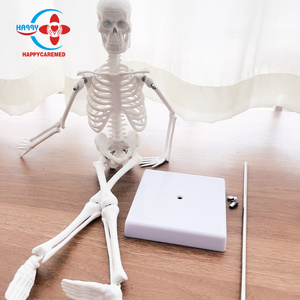 Modelo de anatomía <span class=keywords><strong>del</strong></span> <span class=keywords><strong>esqueleto</strong></span> <span class=keywords><strong>humano</strong></span>, modelo de anatomía - Product Image 2