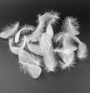 Oem bán buôn Trắng vịt lông ném gối ghế sofa 45x45 đệm chèn - Product Image 5