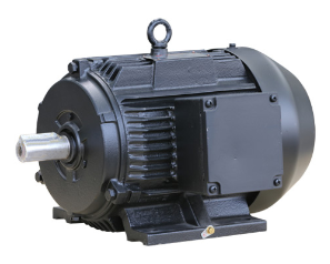 Moteur asynchrone triphasé YE2 4P 15kW 400V 50Hz à haut rendement IE3, étanche IP55/IP65, haute vitesse YE2 YE2 2P - Product Image 6