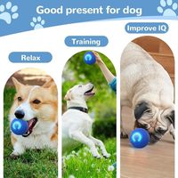 2025 Fabrikneuer Shaky Ball für Hunde: Intelligentes, vibrierendes, interaktives, wiederaufladbares, automatisch rollendes Hundeball-Spielzeug