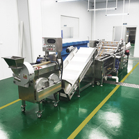 YouBan Multifunctionele Voedselverwerkingslijn voor de voorbewerking van verse groenten, vis en aardappelchips