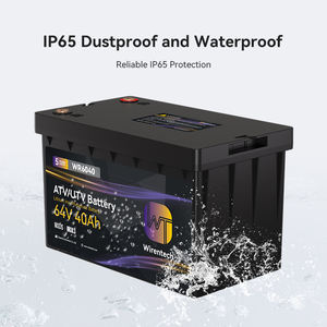 Batería de Iones de Litio de 64V 40Ah 2.56kWh para Vehículos Todoterreno <span class=keywords><strong>ATV</strong></span> UTV, Alta Potencia Pico, Amplio Rango de Temperatura, Batería para Vehículos de 4 Ruedas - Product Image 6