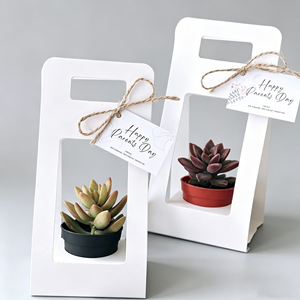 Boîte d'emballage écologique portable pour plantes succulentes avec poignée, mini porte-fleurs pour mariage, fête, cadeau de naissance, vente en gros - Product Image 1