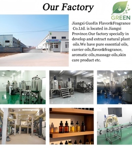 น้ำมันเมล็ดองุ่นบริสุทธิ์ 100% สำหรับบำรุงผิว ช่วยกระชับรูขุมขน ลดเลือนริ้วรอย พร้อมคุณสมบัติต้านอนุมูลอิสระ น้ำหนักเบา ชุ่มชื้น ขายส่งจำนวนมาก - Product Image 6