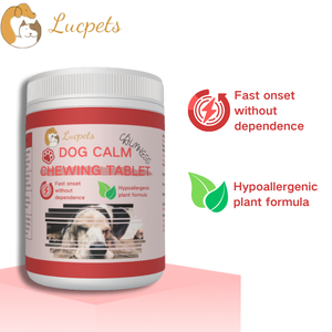 أقراص قابلة للمضغ لتهدئة مزاج الكلاب، مكملات غذائية لدعم المناعة للحيوانات الأليفة، مكملات صحية متميزة للكلاب - Product Image 2