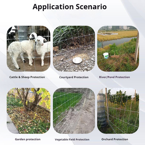 <span class=keywords><strong>Grillage</strong></span> en acier galvanisé à mailles plates pour clôtures de bétail agricole avec découpe et pliage sur mesure, diamètre de fil 1,8-3,4 mm, tailles de mailles 5-20 cm - Product Image 4