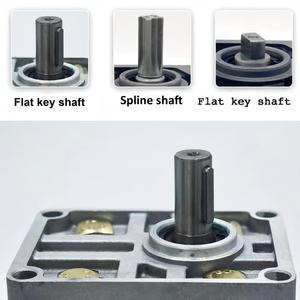 LSTY Gear <b>Pump</b> Hydraulic Oil Parts Series CBN-F304306310314316320325 16 Displacement 200 <b>Bar</b> Operating Gear <b>Pump</b> Hydraulic <b>Pumps</b> - Product Image 4