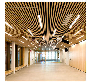 耐火クラスアルミニウム合金長方形の天井カスタムカラーホテル天井グリッド用防湿防止芸術デザイン - Product Image 1