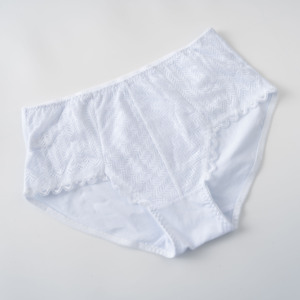 Produsen profesional celana dalam katun pinggang sedang pakaian dalam wanita ukuran <span class=keywords><strong>Plus</strong></span>