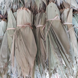 NOUVEAU PRODUIT FEUILLES DE BAMBOUS SÉCHÉES DU VIETNAM - Product Image 1